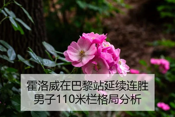 霍洛威在巴黎站延续连胜 男子110米栏格局分析